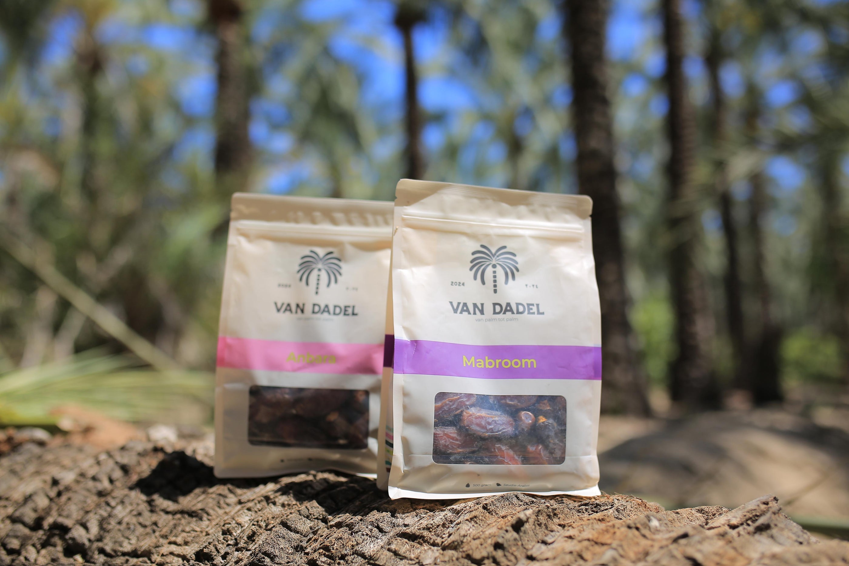 Dadels kopen: waar let je op voor de beste kwaliteit? | Van Dadel